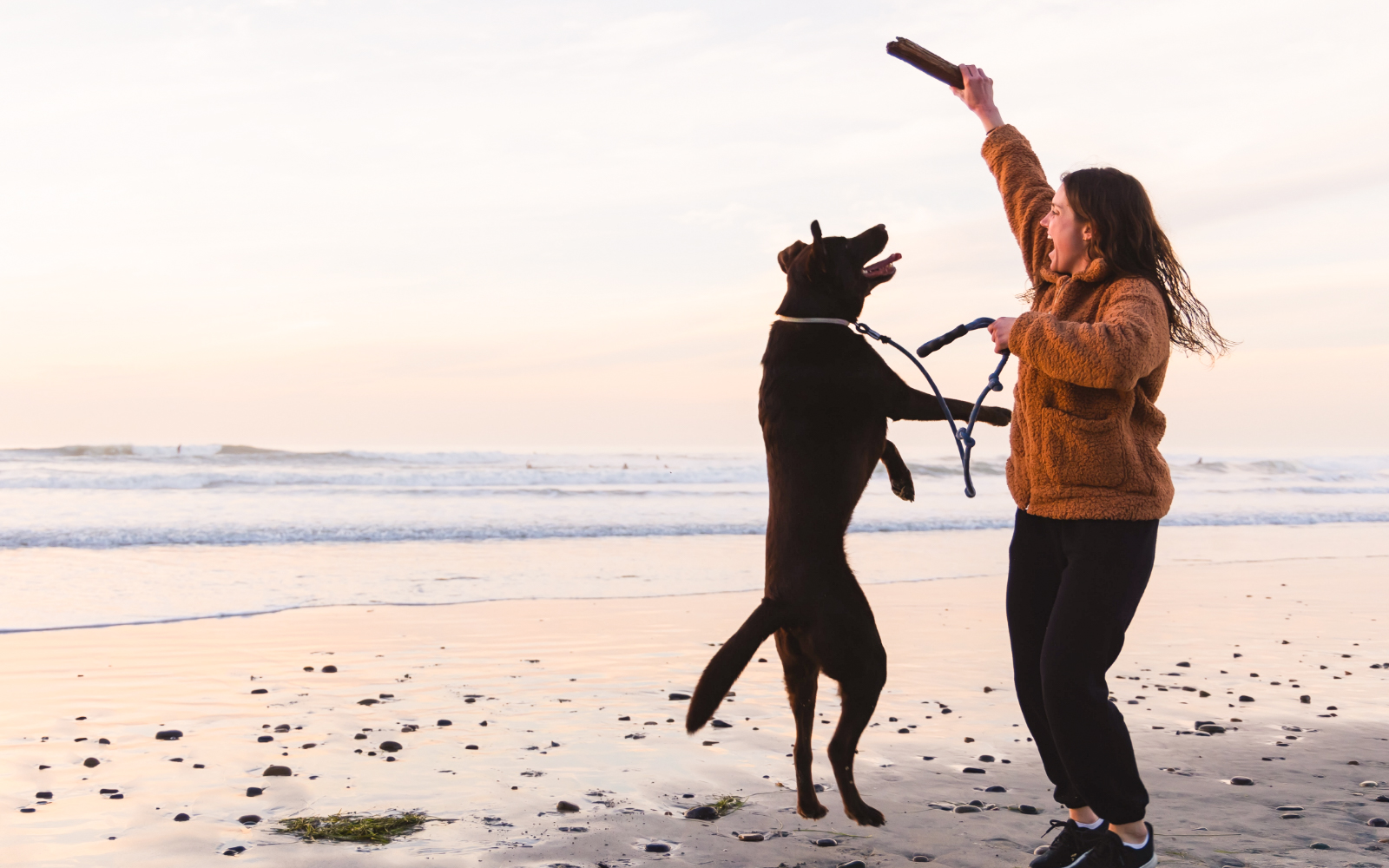 Woman playing with dog on the beach