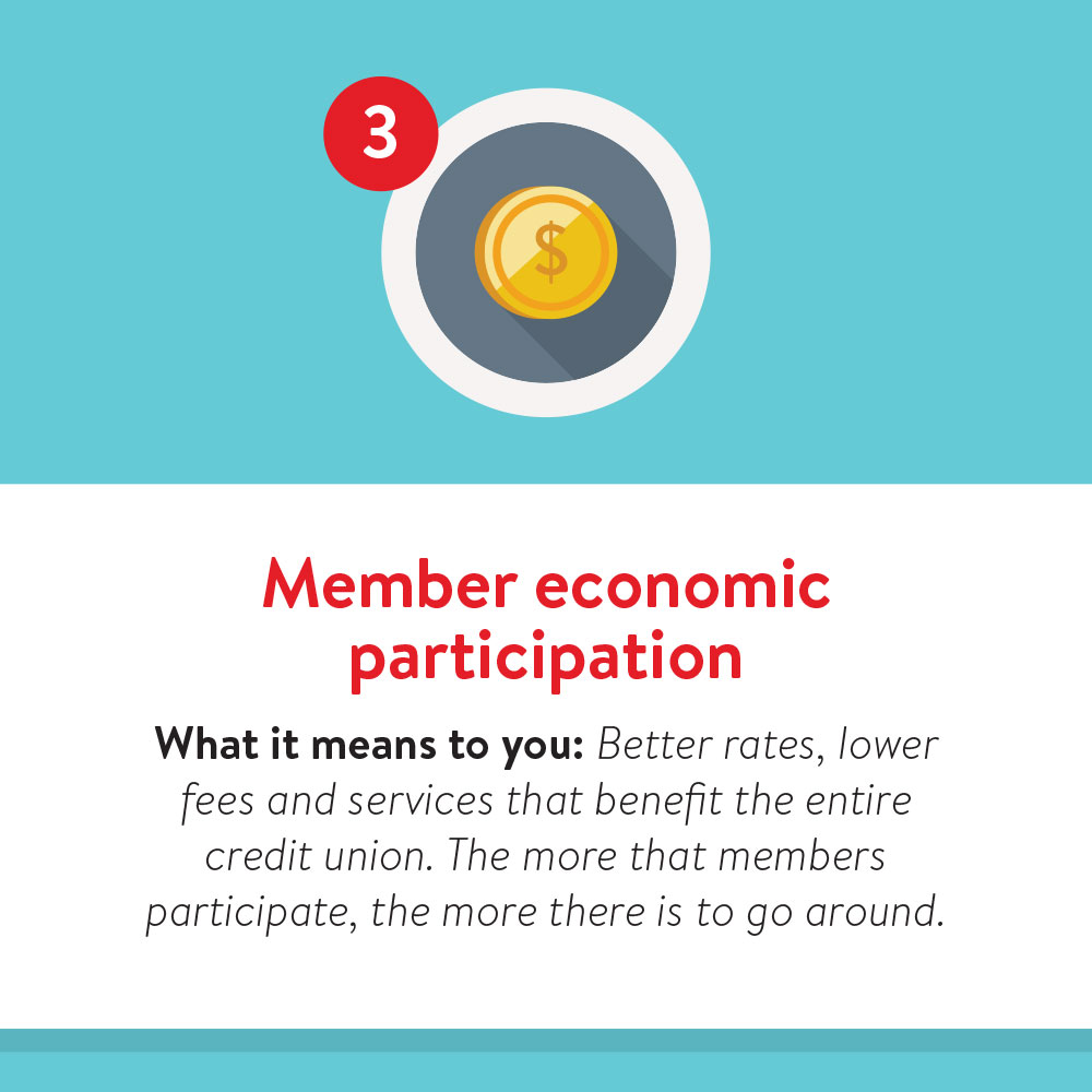 member economic participation