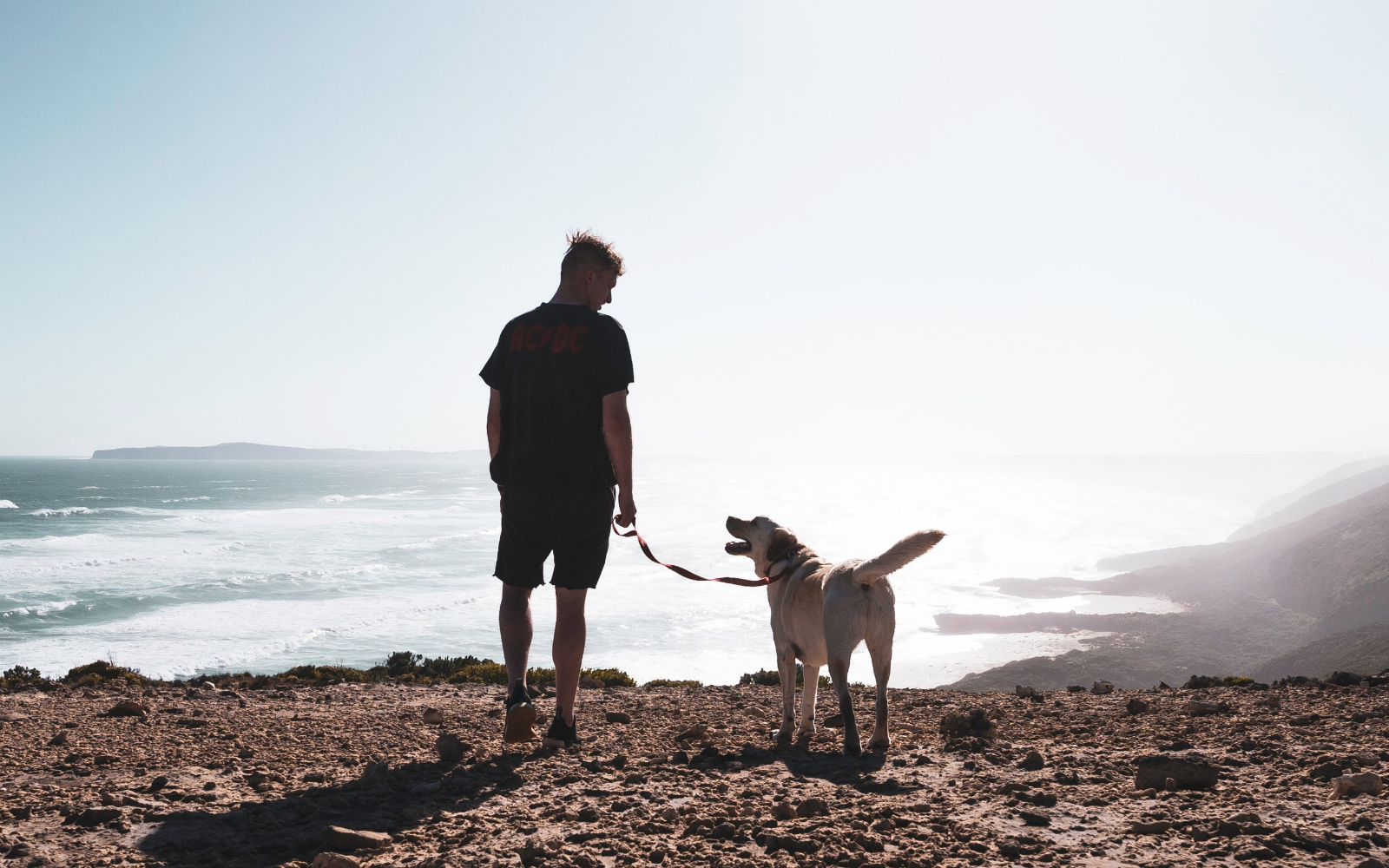Man and dog on a hike overlooking the ocean