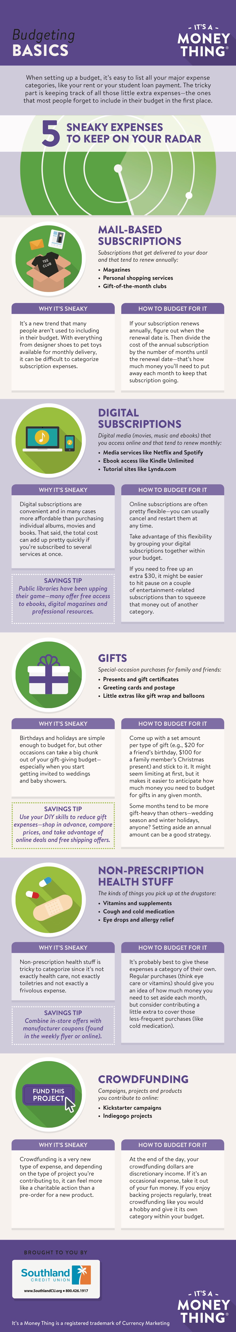 budgeting basics infographic