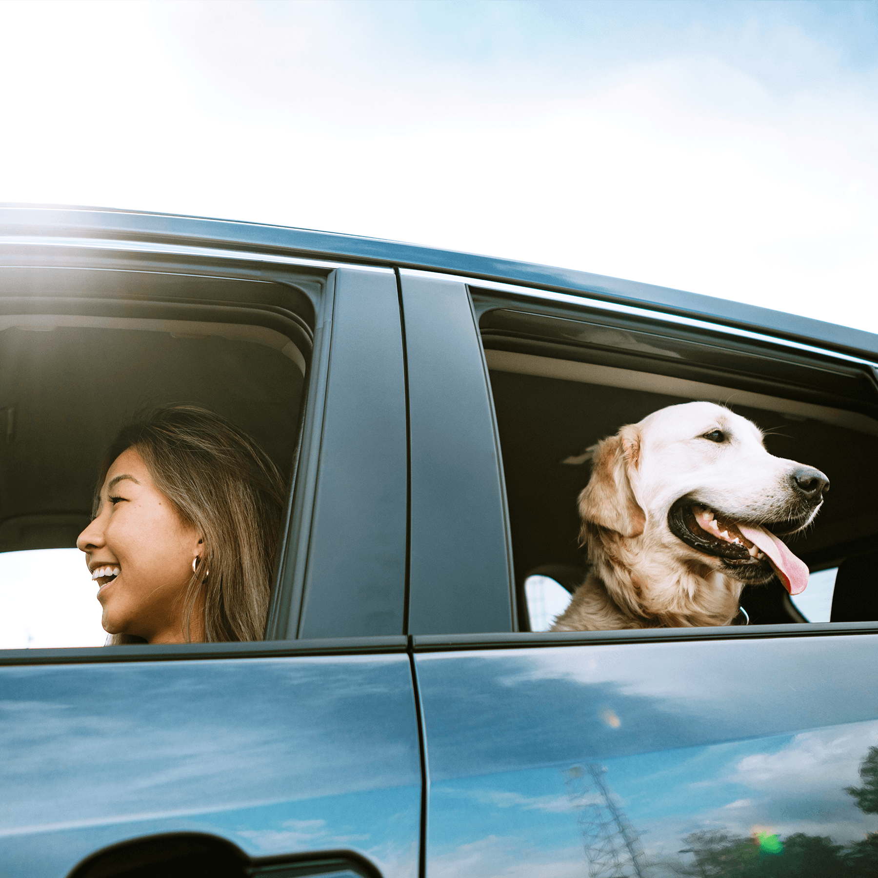 girl driving dog in car